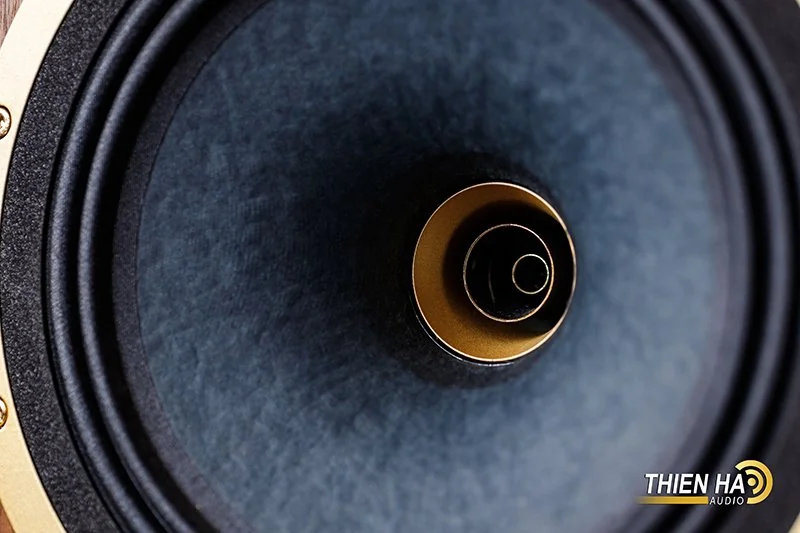 Loa Tannoy Turnberry GR/ Hàng Công Ty Chính Hãng - Ảnh 5