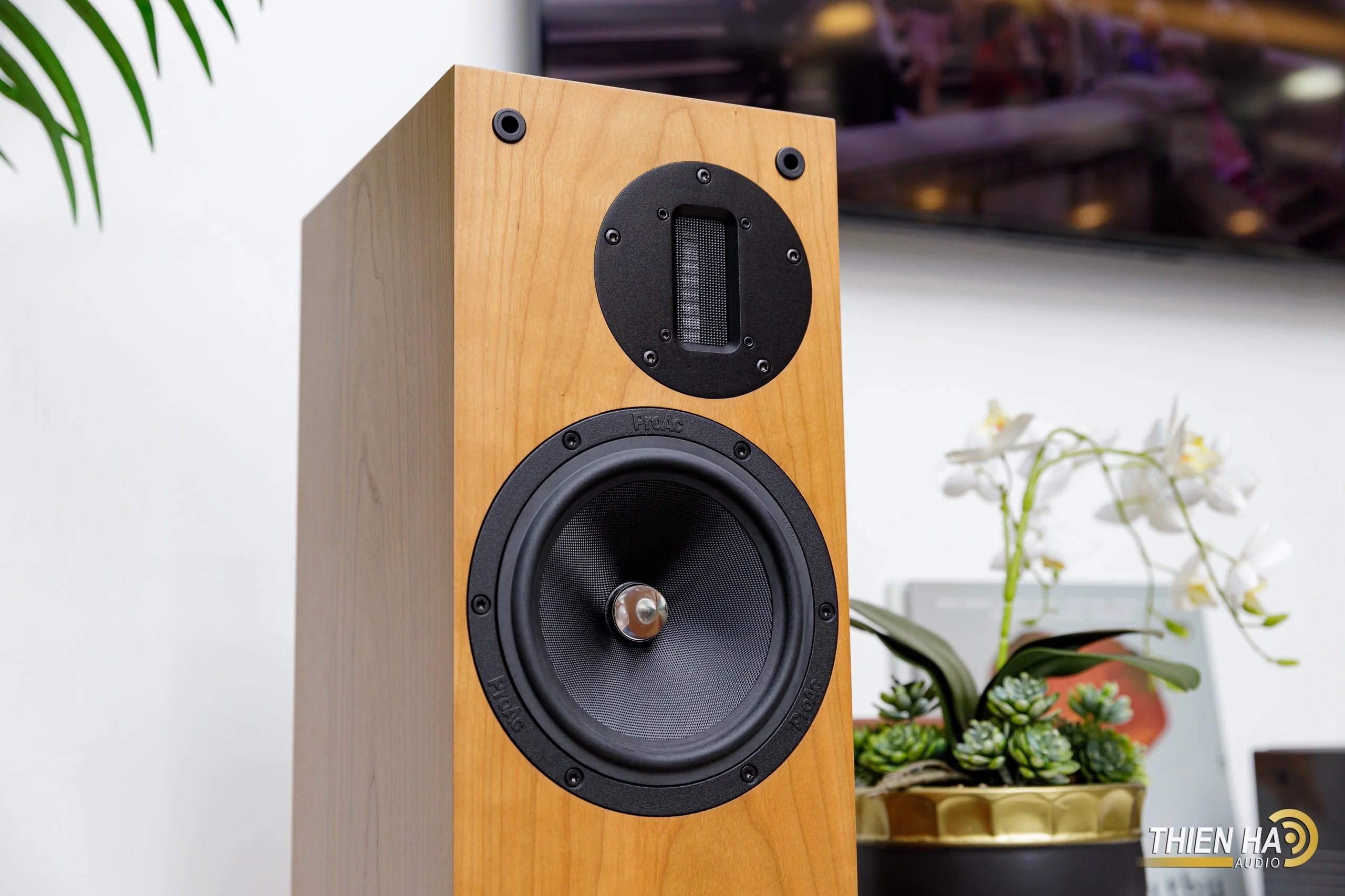 Loa ProAc D20R - Ảnh 5