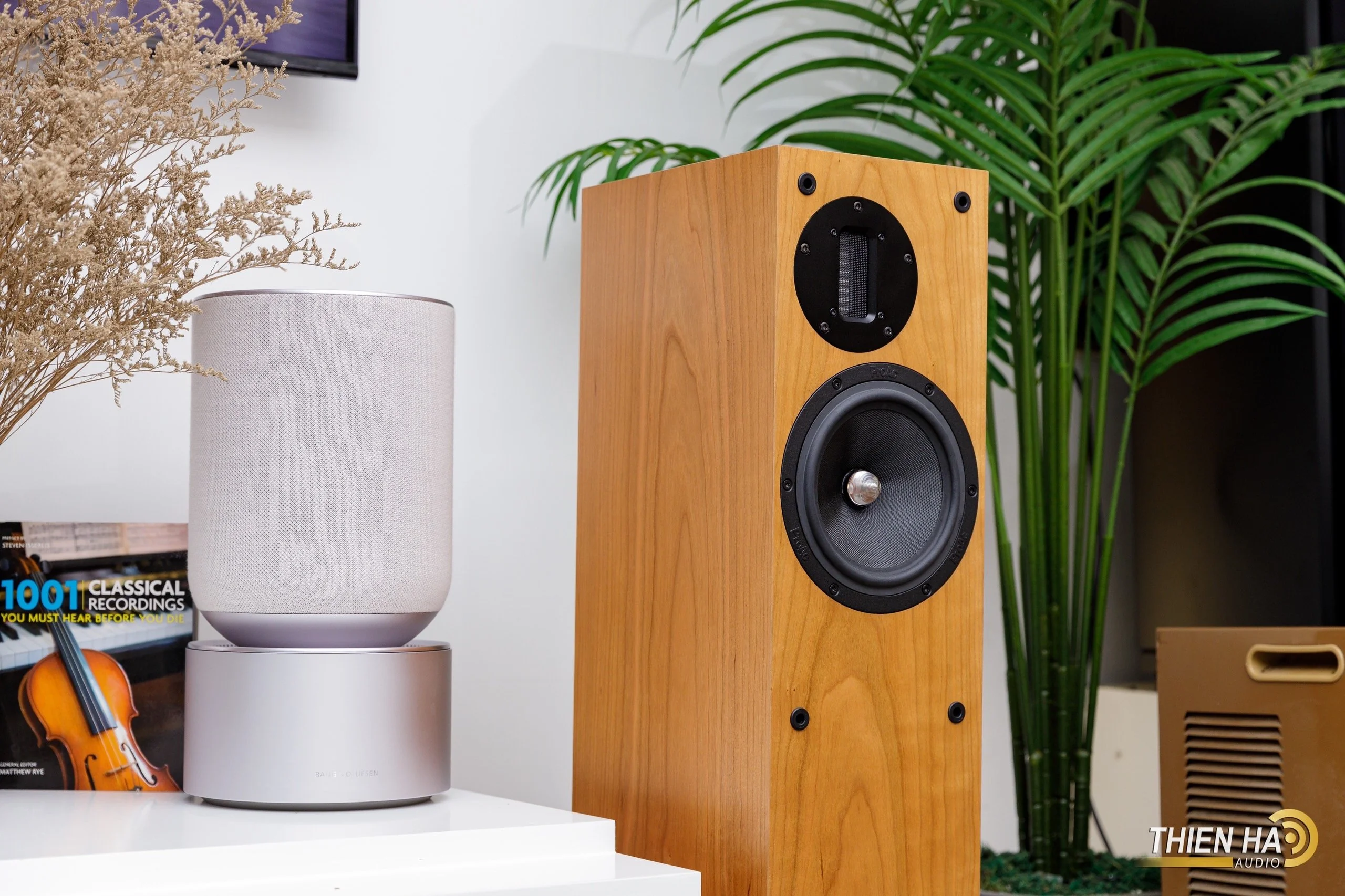 Loa ProAc D20R - Ảnh 3