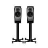 Loa Dynaudio Confidence 20