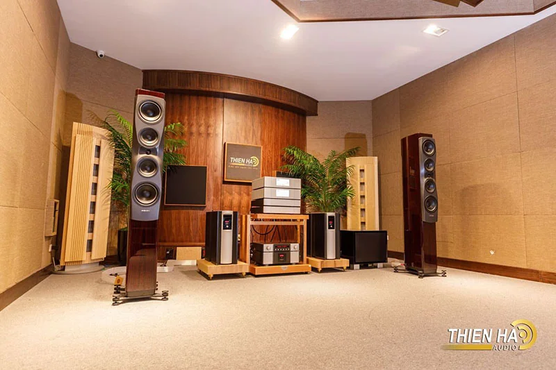 Loa Dynaudio Confidence 50 - Ảnh 8