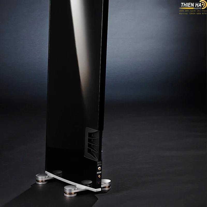 Loa Raidho XT-2 - Ảnh 3