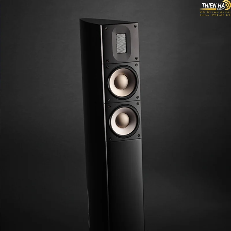 Loa Raidho XT-2 - Ảnh 2
