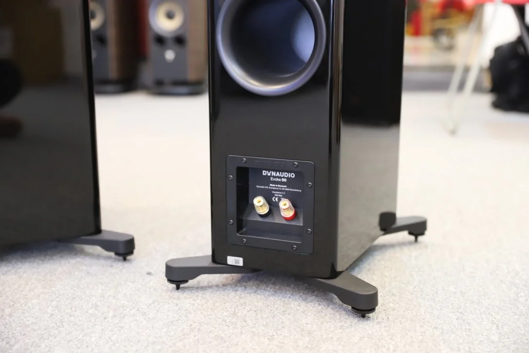 Loa Dynaudio Evoke 50 - Ảnh 6