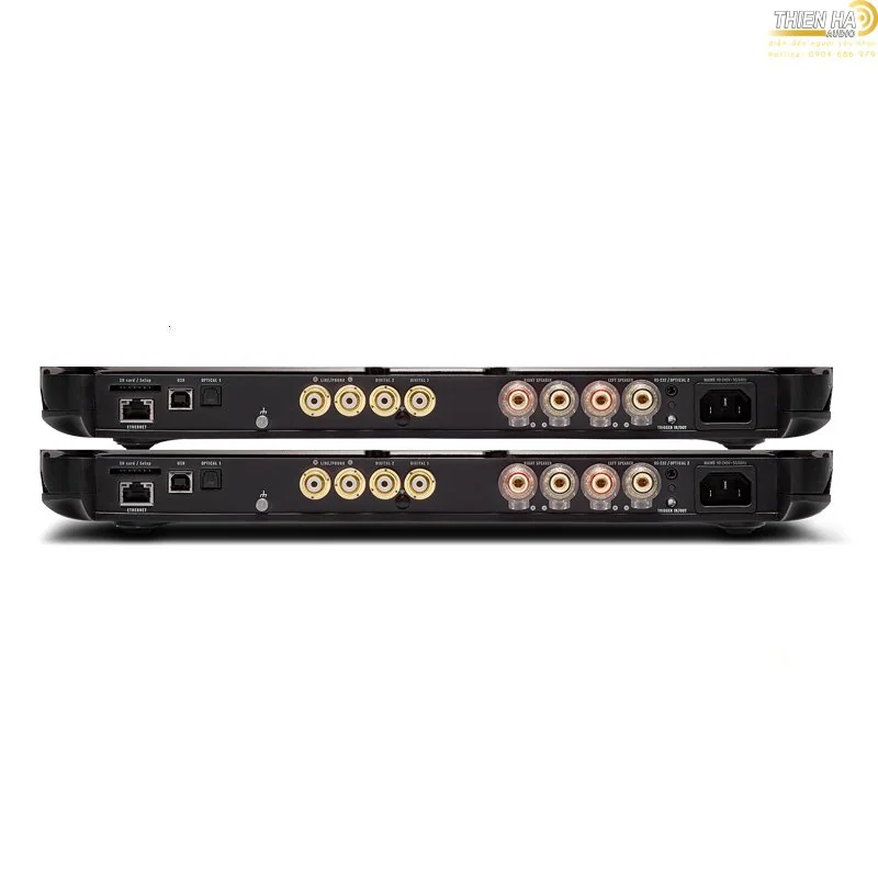 Ampli Devialet Expert 210 Pro Dual - Ảnh 2