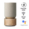 Loa B&O Beosound Balance GVA