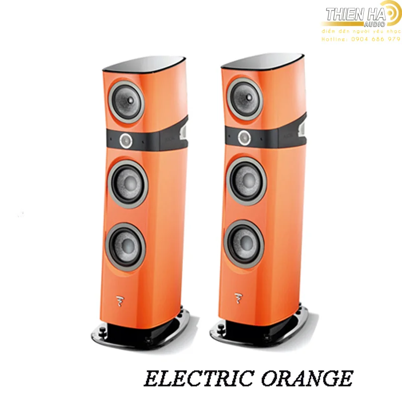 Loa Focal Sopra No3 - Ảnh 6