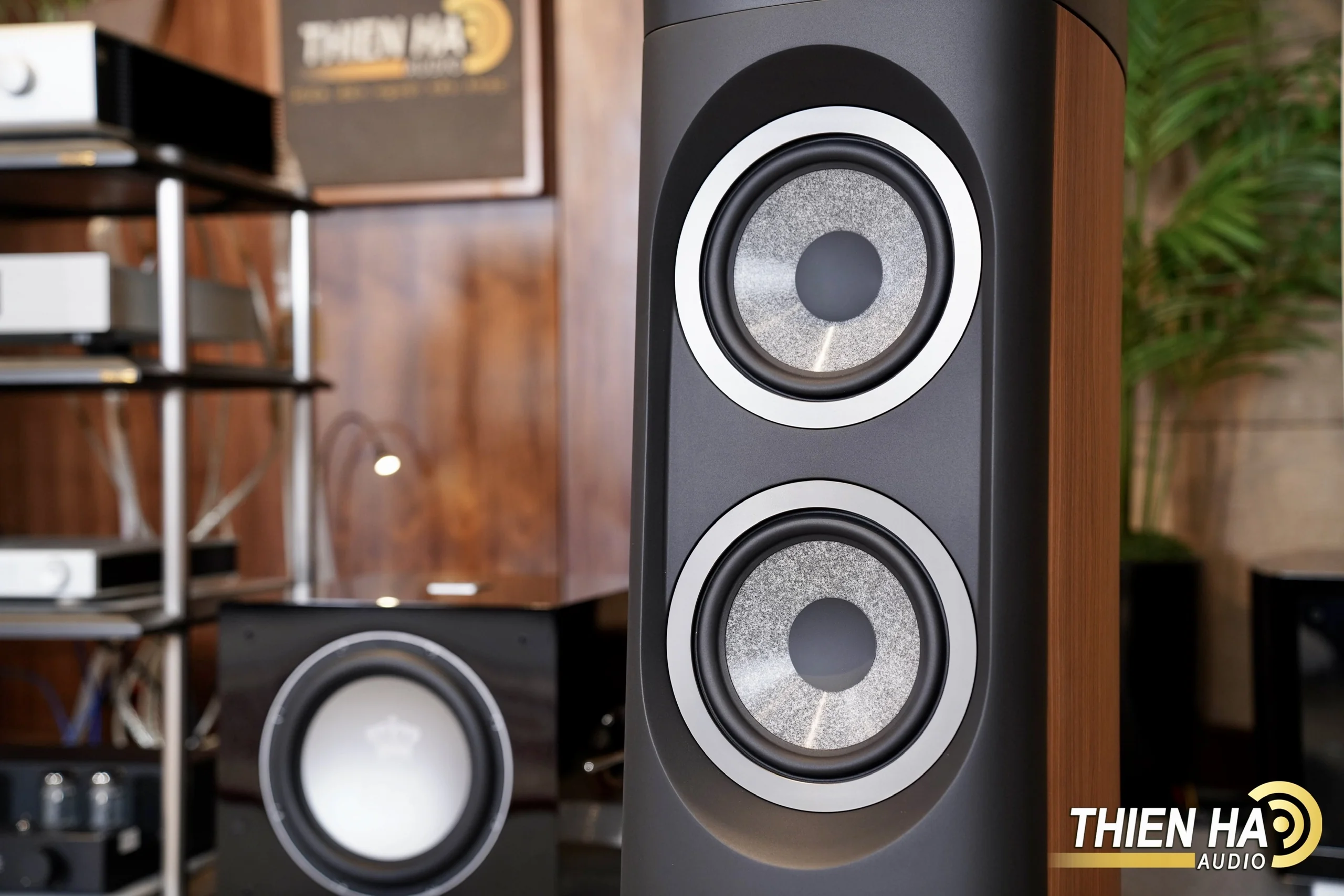 Loa Focal Sopra No3 - Ảnh 14