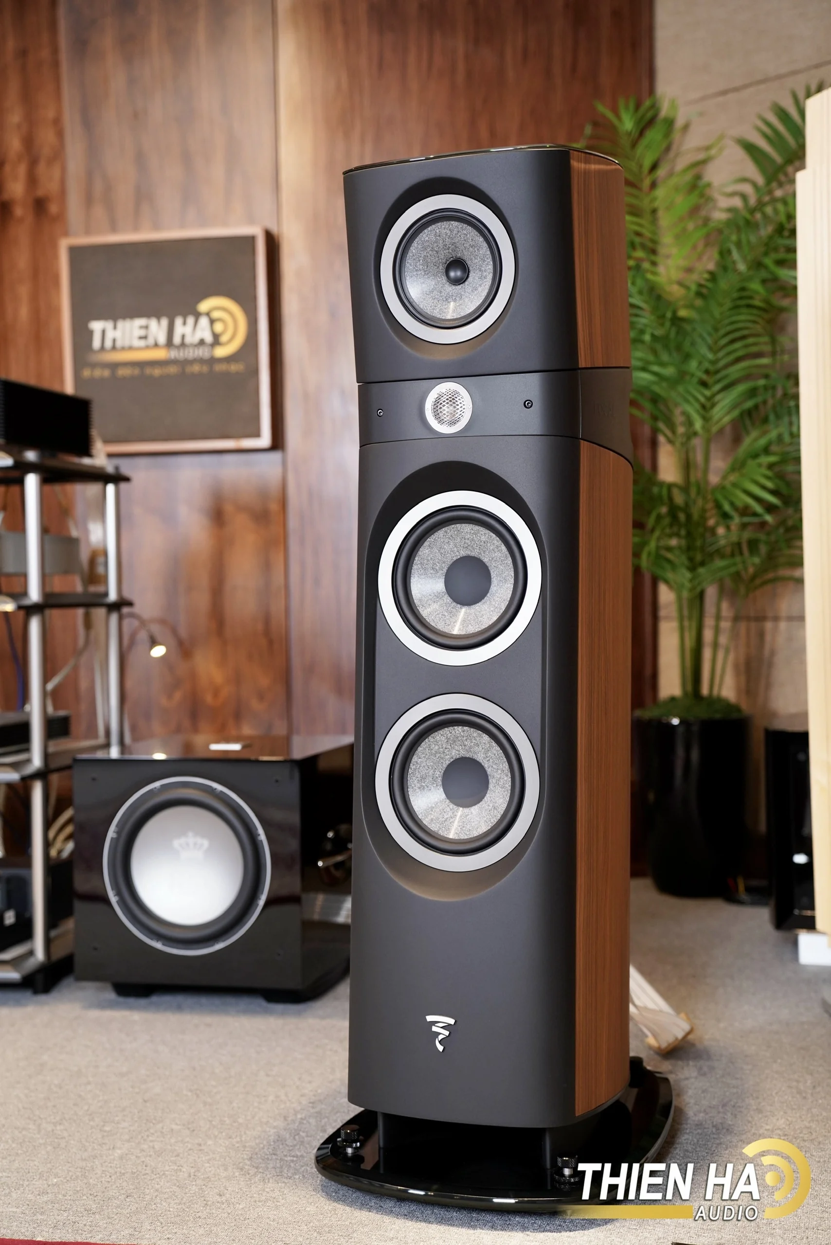 Loa Focal Sopra No3 - Ảnh 11