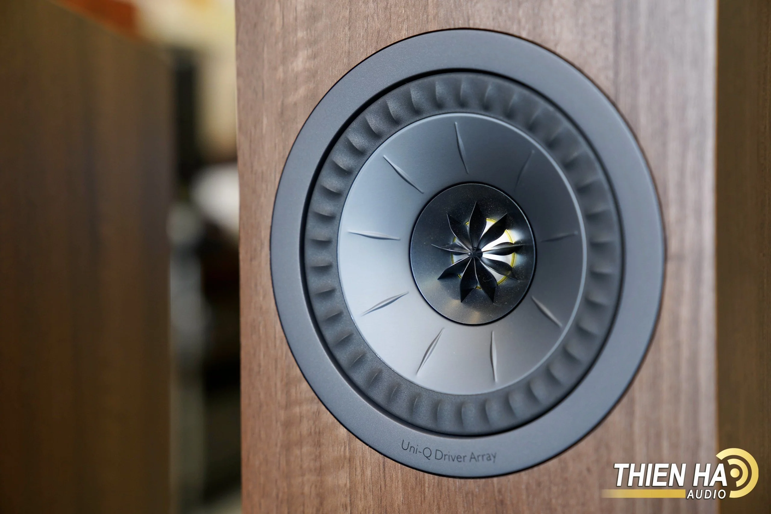 Loa Cột Kef Q550 - Ảnh 6