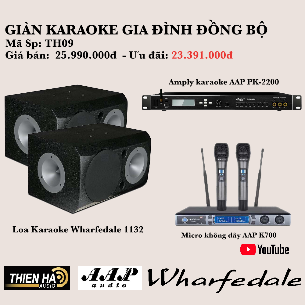 Mua Dàn Karaoke Gia Đình TH09 Chính Hãng - LH 0983.83.46.46 Giá Tốt Nhất VN