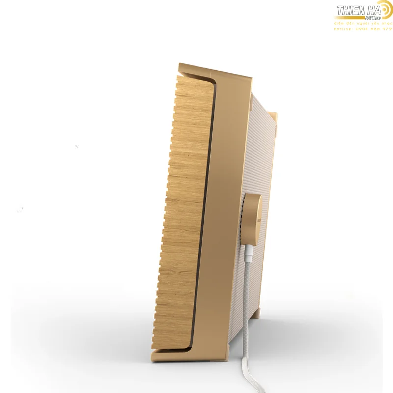 Loa B&O Beosound Level - Ảnh 6