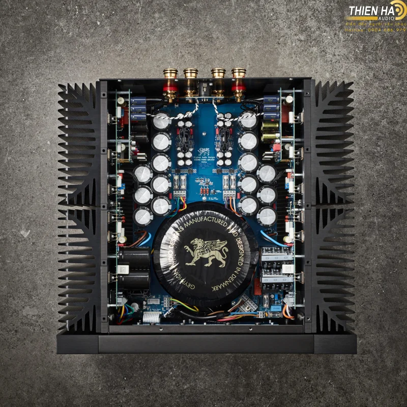 Power Amp Gryphon Essence Mono - Ảnh 4