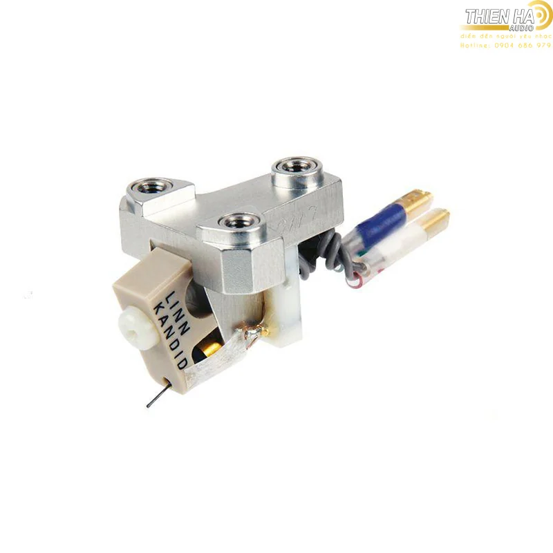 Kim Linn Kandid - Ảnh 2