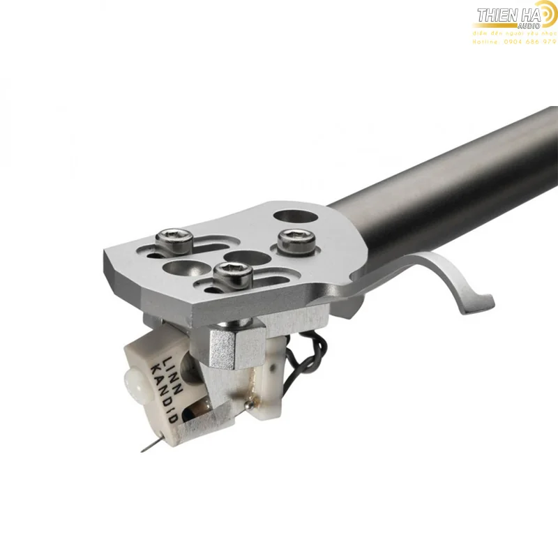 Kim Linn Kandid - Ảnh 4