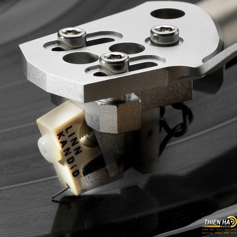 Kim Linn Kandid - Ảnh 5