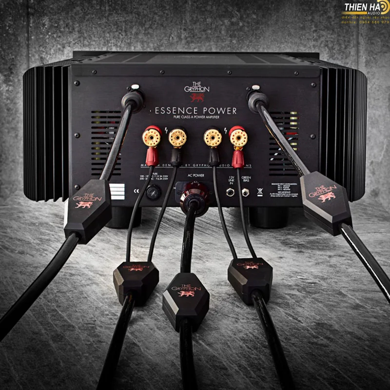 Dây Loa Gryphon VANTA/ 2m - Ảnh 4