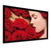 Màn chiếu DNP Supernova Core 100 Inch