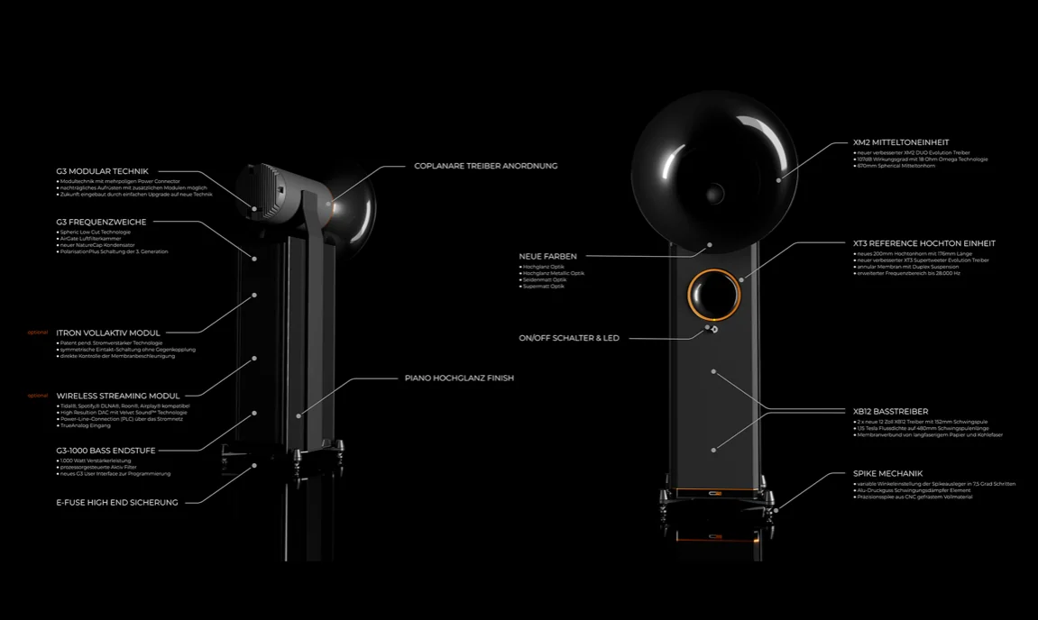 Loa Avantgarde Duo GT - Ảnh 2