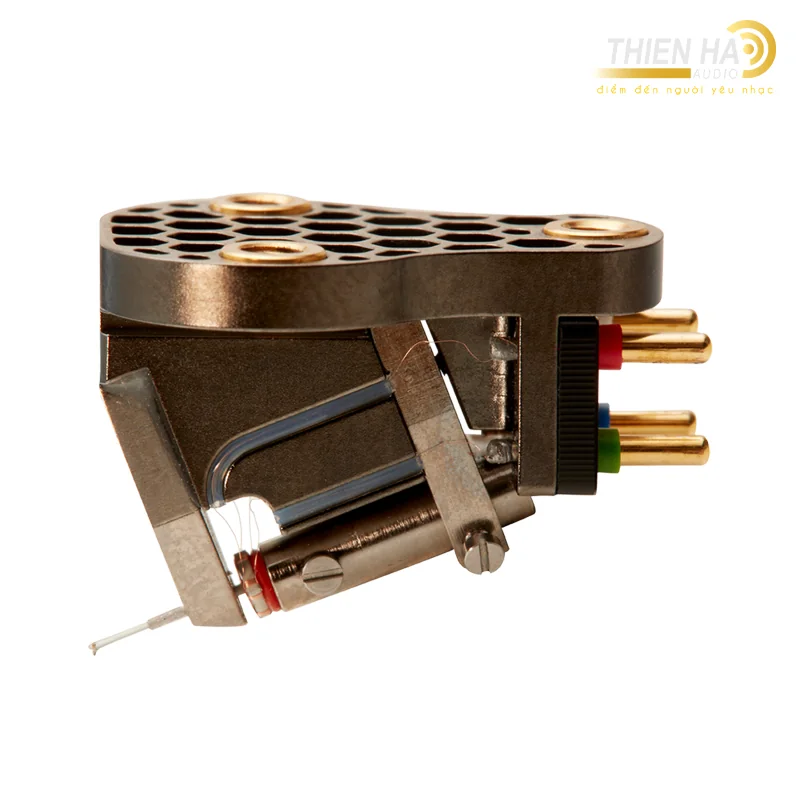 Kim Linn Ekstatik - Ảnh 2