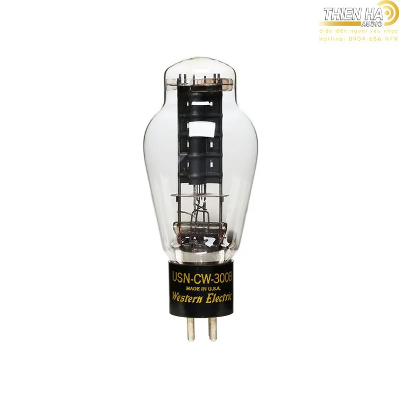 Bóng dẫn Western Electric 300B/ Chiếc - Ảnh 2