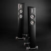 Loa Raidho Acoustics X2t