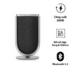 Loa B&O Beolab 8/ Cặp