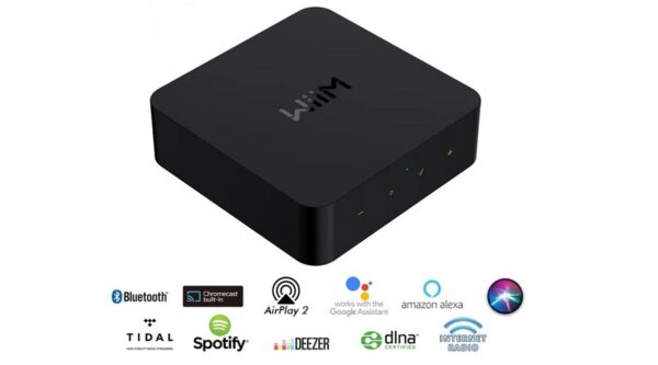 Music Streaming WiiM Pro Plus - Hình ảnh 3