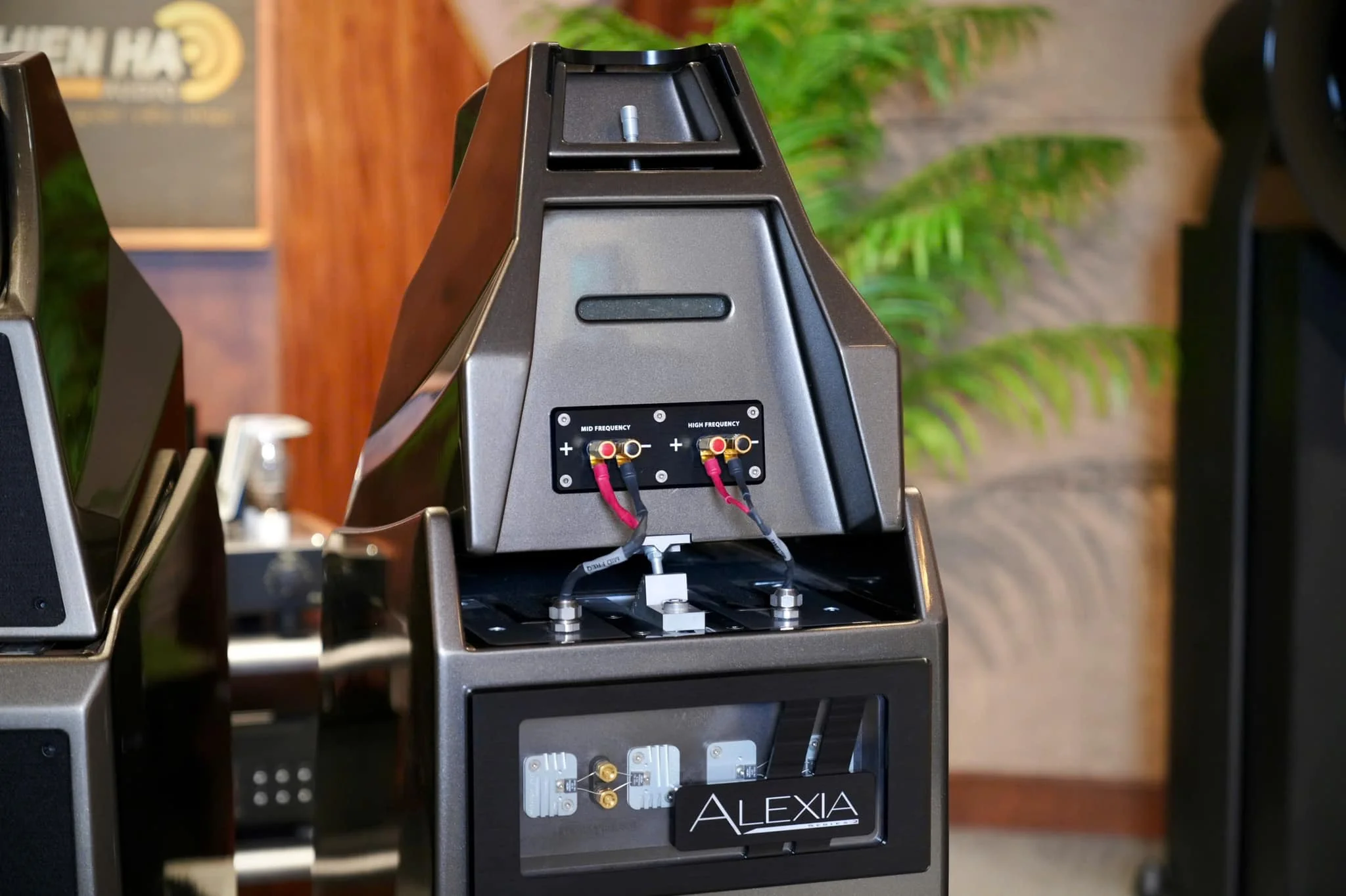 Loa Wilson Audio Alexia 2 - Ảnh 3