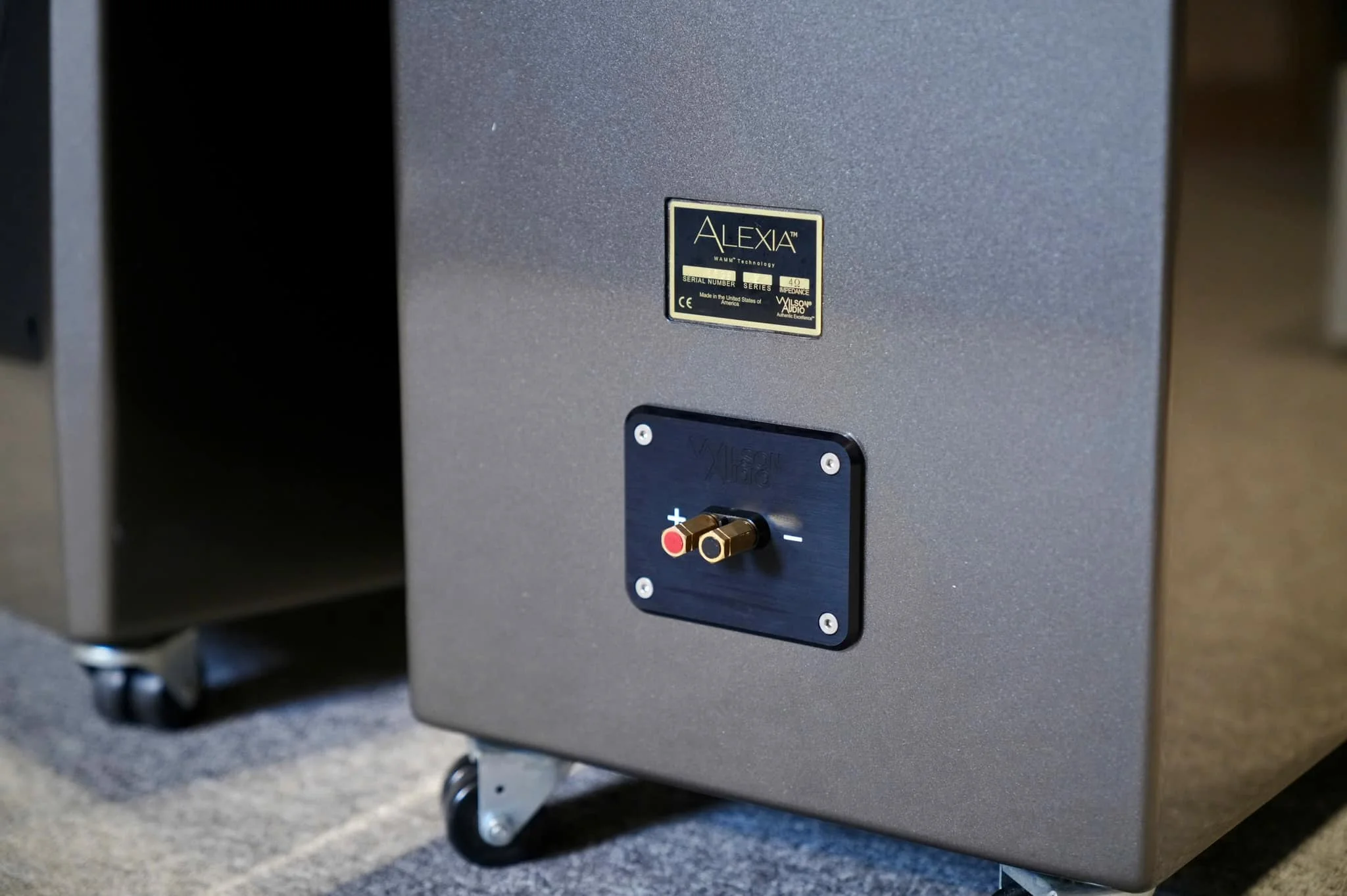 Loa Wilson Audio Alexia 2 - Ảnh 4