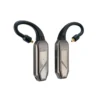 Bluetooth Earhooks iFi GO Pod Max