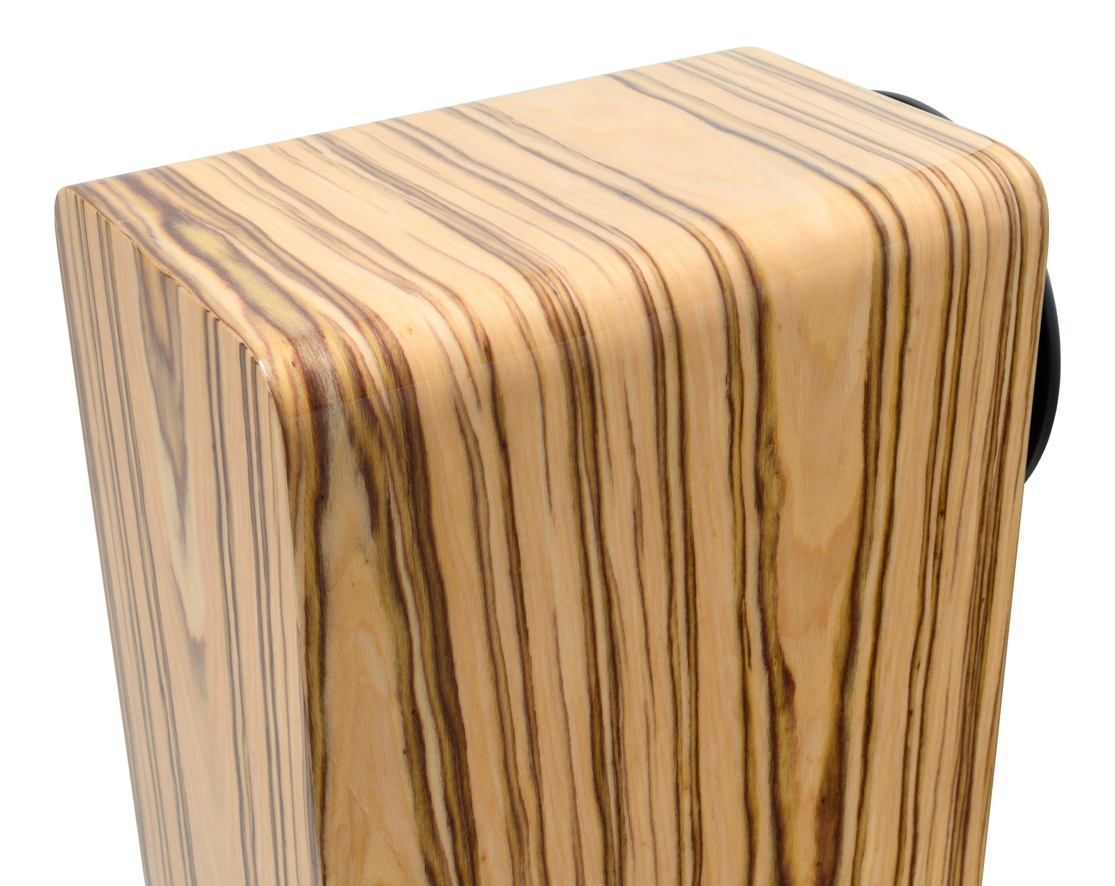 Loa Kèn hORNS ARIA II MK3 - Ảnh 3