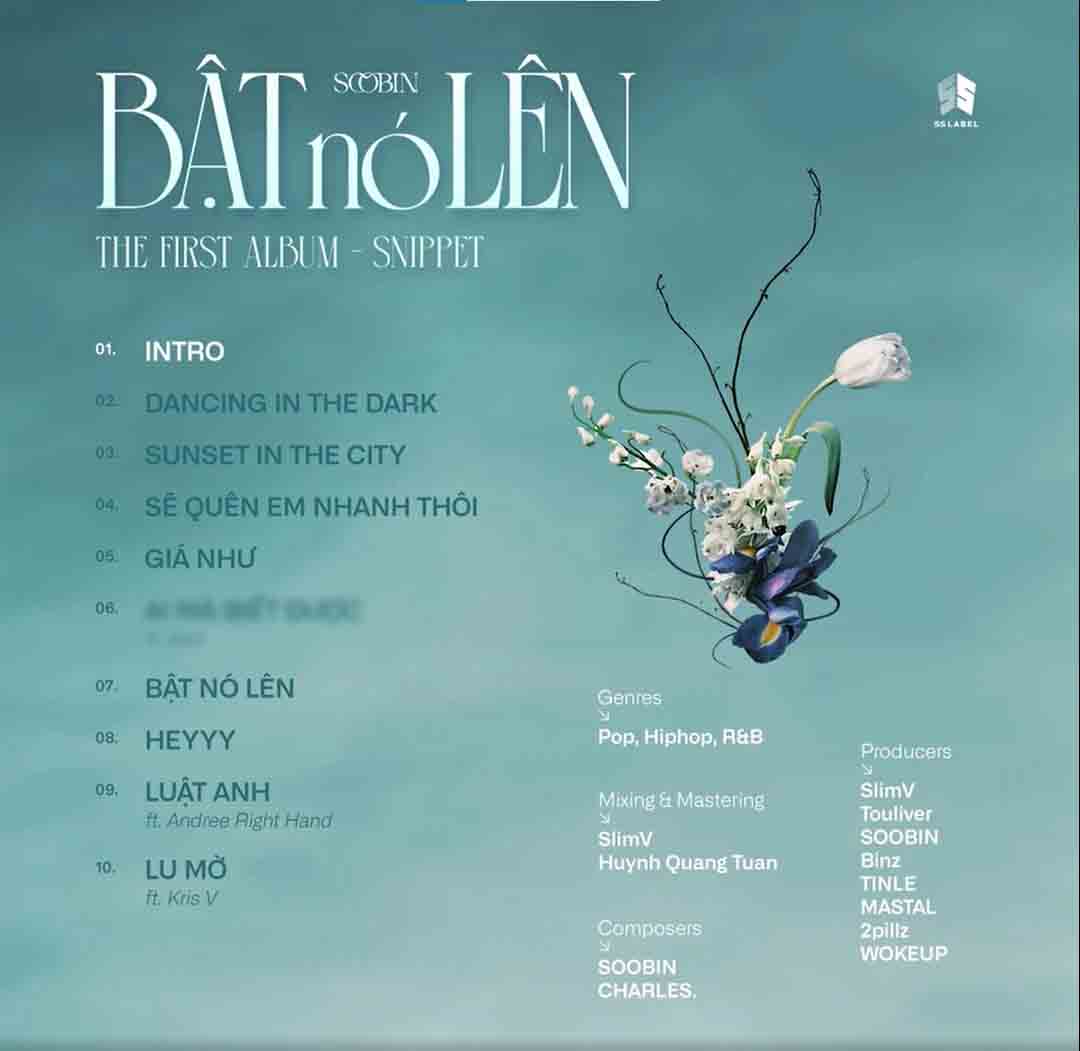 Đĩa Than LP "Bật nó lên" - Ảnh 5