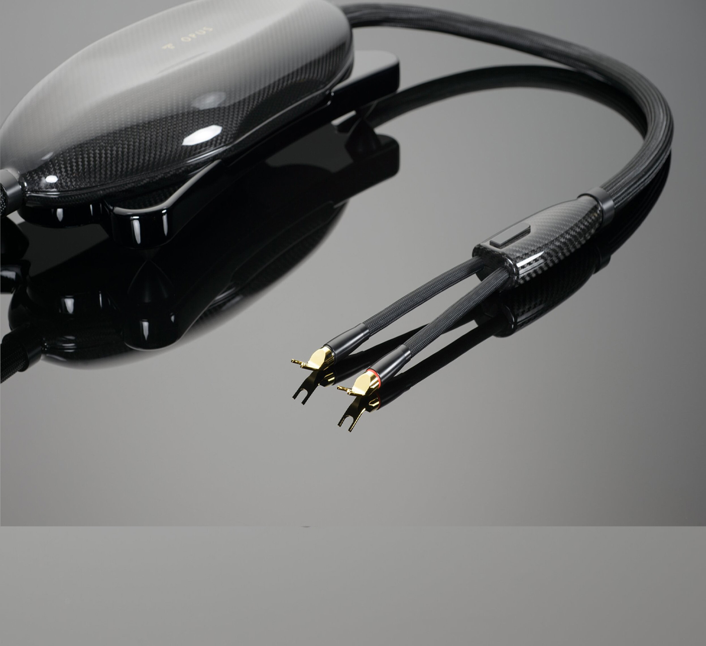 Dây loa Transparent Opus Speaker Cable G6 - Ảnh 3