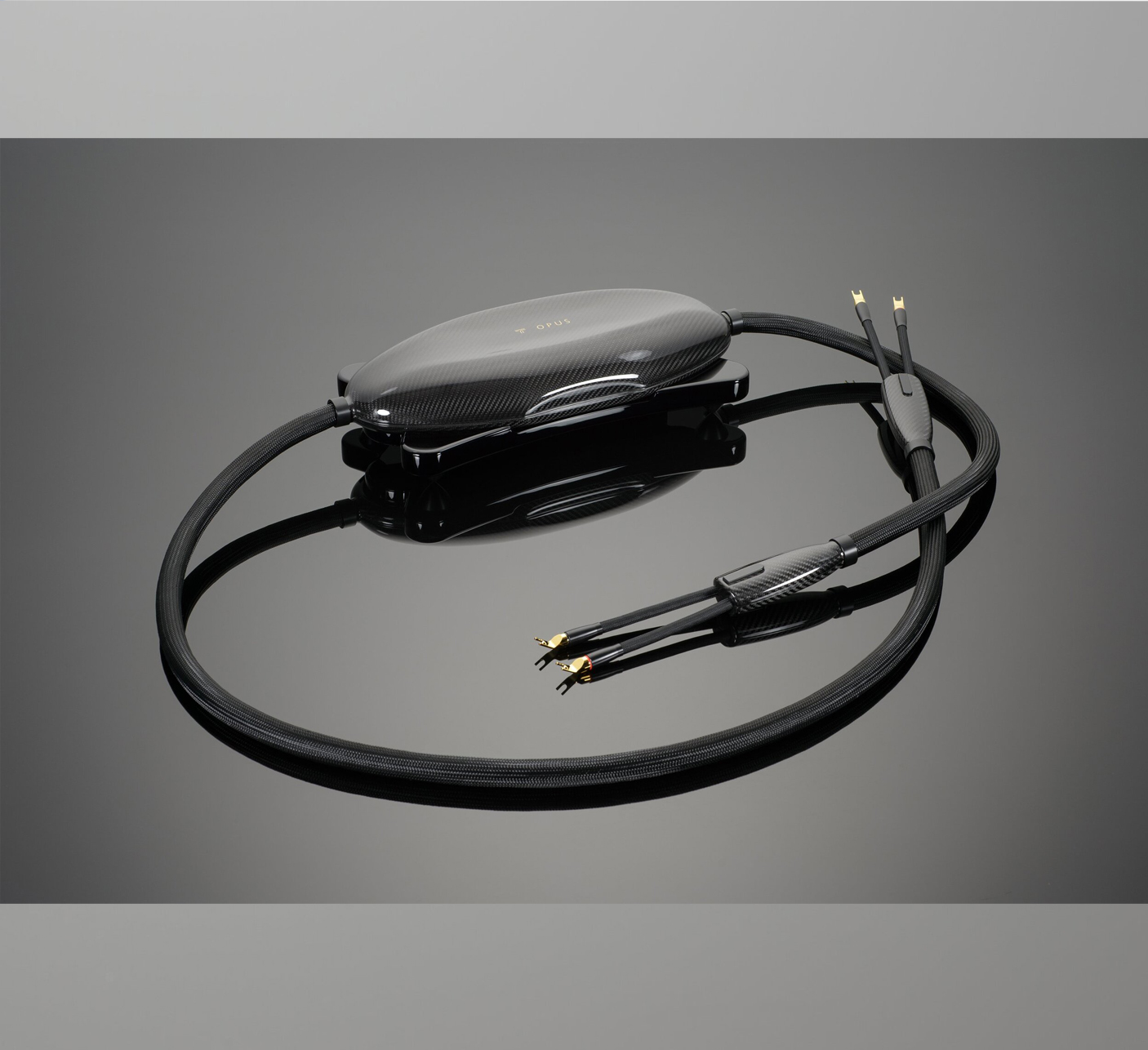 Dây loa Transparent Opus Speaker Cable G6