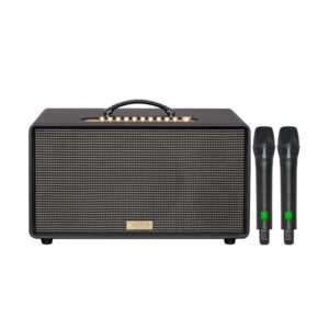 Loa Acnos Flac 36 Ver2