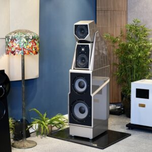 Loa Wilson Maxx 3