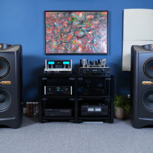Alternative view of Loa Tannoy Kingdom Royal