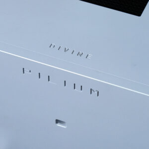 Alternative view of Pilium Divine Poisedon Monoblock Power Amplifier