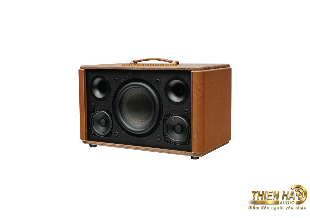 Loa KADMA KS300 - Ảnh 2