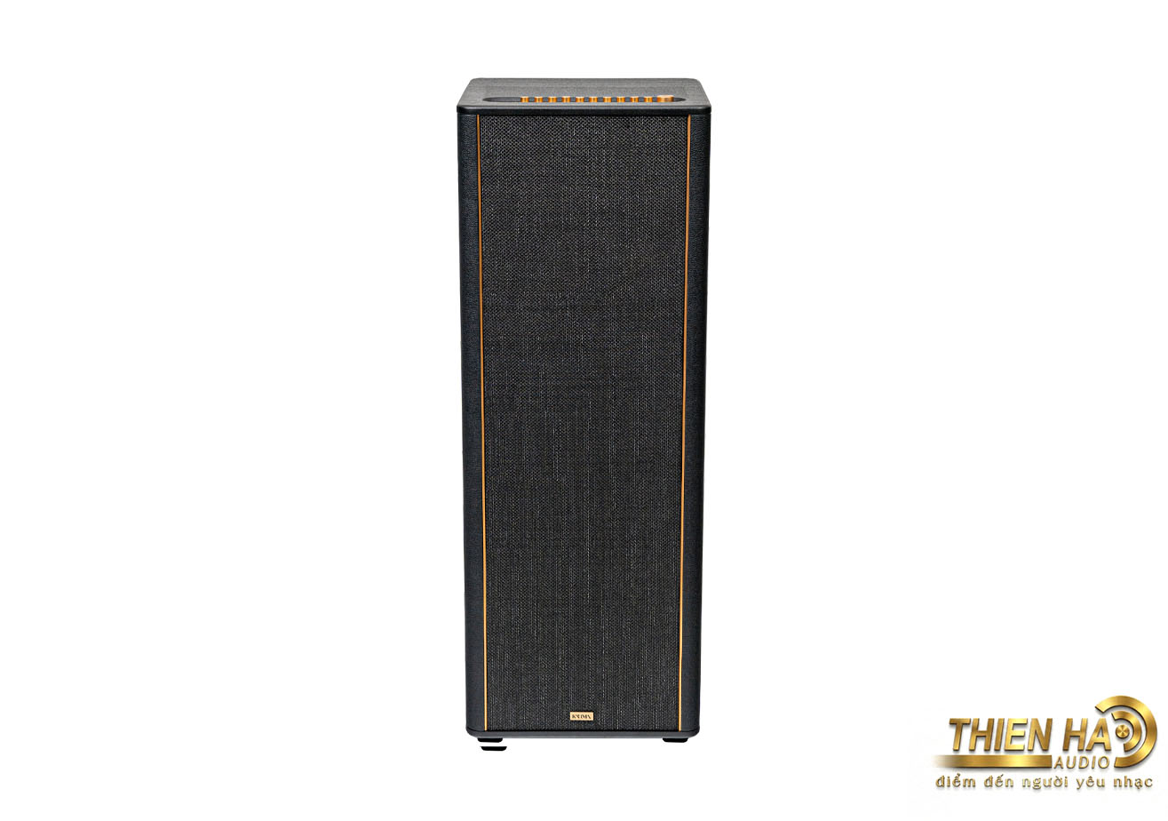 Loa Hi-Fi Karaoke di động KADMA KF990 - Ảnh 3