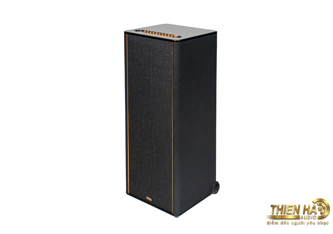 Loa Hi-Fi Karaoke di động KADMA KF990 - Ảnh 4