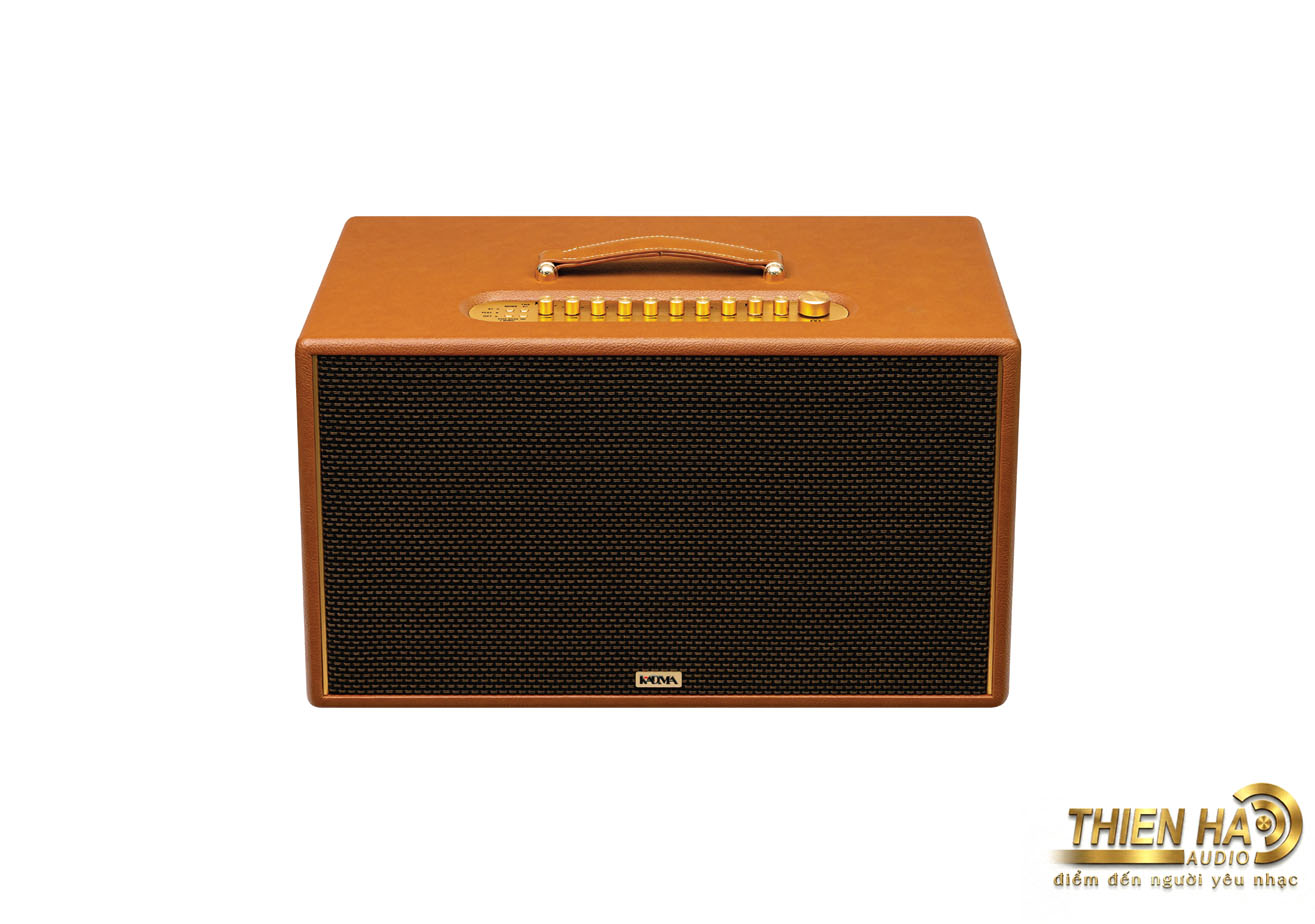 Loa Hi-Fi Karaoke xách tay KADMA KS88 - Ảnh 5