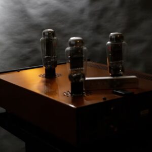 DAC Lampizator Golden Gate 5 (Liên hệ) - Ảnh 5