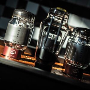 Alternative view of Power Amplifier Lampizator KT88 Monoblocks (Liên hệ)