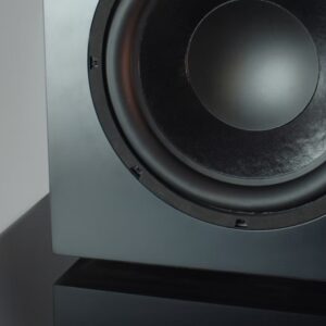 Loa subwoofer LampizatOr Bora (Liên hệ) - Ảnh 3