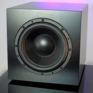 Loa subwoofer LampizatOr MelTemi (Liên hệ)