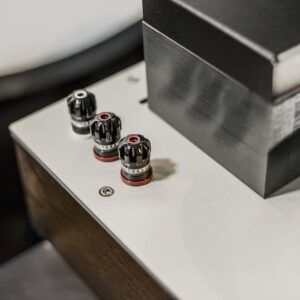 Power Amplifier LampizatOr 211 BALANCED MONOBLOCK (Liên hệ) - Ảnh 6