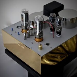 Alternative view of Power Amplifier LampizatOr 211 BALANCED PACIFIC MONOBLOCK (Liên hệ)