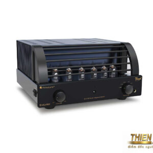 PRIMALUNA EVO 300 HYBRID INTEGRATED AMPLIFIER - Ảnh 4
